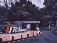 -银湖山郊野公园-相思林