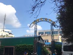 -曲阳花鸟市场(曲阳路店)