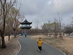 -盐城丹顶鹤湿地生态旅游区