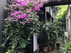 -奎星楼街