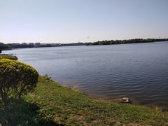 -丁香湖公园