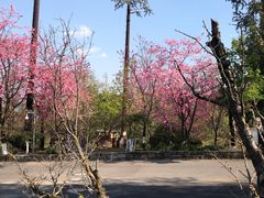 -天龙八部武侠城