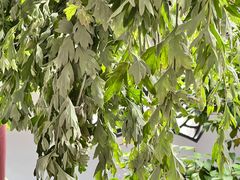 -李时珍纪念馆