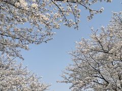 -上海辰山植物园