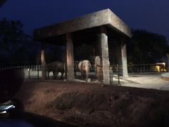 -清迈夜间动物园