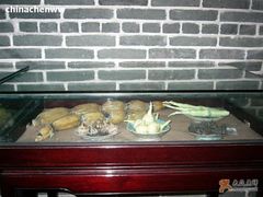 -荔湾博物馆