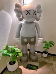 -玛莲朵·海菲秀冰珀科