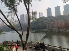 -重庆彩云湖湿地公园