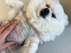 -怪兽屋·羊驼·猫咖·狗咖(俊华广场店)