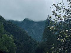-林坑古村落