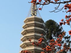 -南普陀寺