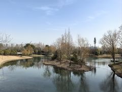 -尚贤河湿地