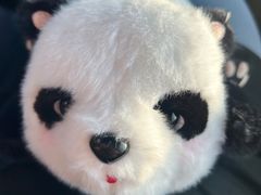 -沈阳森林动物园