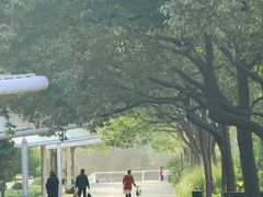 -新江湾城公园