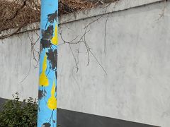 -辛庄国际文化艺术区