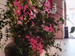 -隐溪茶馆(静安寺店)