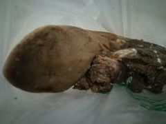 -年记·兴顺斋 牛街清真熟食小吃店