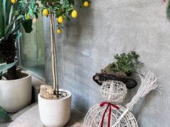 -洪小鹏生活美学馆(领SHOW天地店)