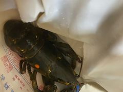 龙虾-南沙十九涌渔人码头-南门