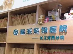 -瑞派长江宠物医院·猫科·外科·24小时夜护(谊城公寓分院)