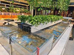 -川骄海鲜自助(王府井奥莱UP TOWN店原世界之花店)