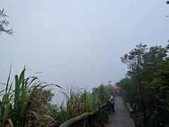 -梧桐山风景名胜区