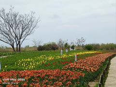 -泗洪洪泽湖湿地景区