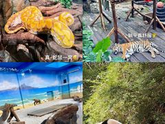 -广州长隆野生动物世界