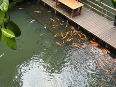 -海南槟榔谷黎苗文化旅游区