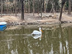 -济南野生动物世界