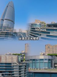 -IDOL-PLUS