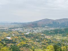 -国家植物园南园