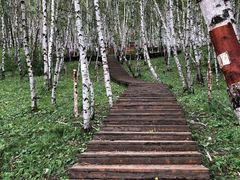 -塞罕坝国家级自然保护区