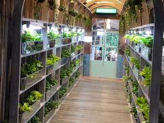 -Ohkajhu Organic Farm Sansai