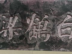 -白鹤梁水下博物馆