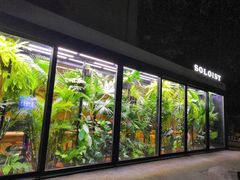 -Soloist 独奏公司(798店)