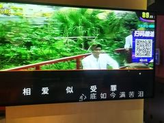 -欢乐糖果KTV(长江店)