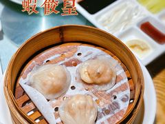 虾饺皇-小放牛河北菜(军校店)