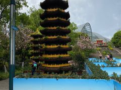-南山植物园