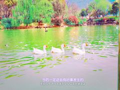 -无锡动物园·太湖欢乐园