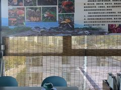-野菌皇海景野生菌火锅(滨海大道店)