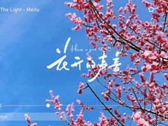 -国家植物园