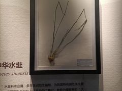 -诸暨博物馆