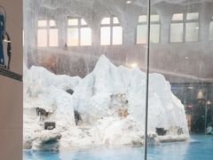 -帝企鹅自助餐厅•儿童岛•真企鹅(长隆企鹅酒店)