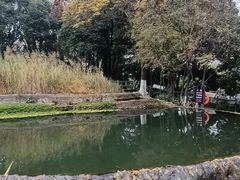 -成都市活水公园