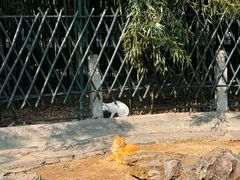 -红螺寺