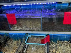 -金海湾海鲜排档(朱家尖店)