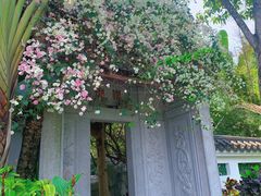 -深圳国际园林花卉博览园