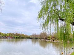 -上海野生动物园