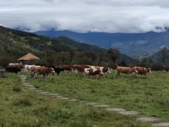 -硗碛藏寨·神木垒景区